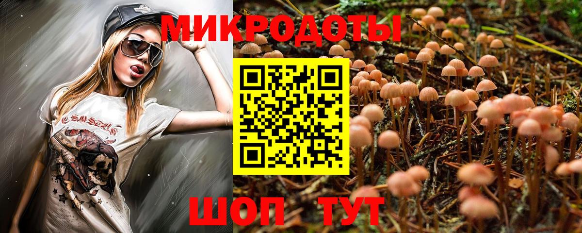 Псилоцибиновые грибы Cubensis Тула