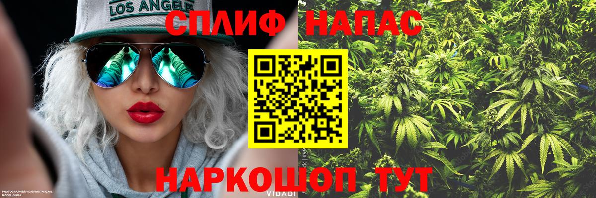 Бошки Шишки White Widow  МАРИХУАНА сатива  Тула  Конопля OG Kush  Вход с VPN 